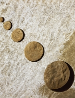 9_photoart-1.jpg